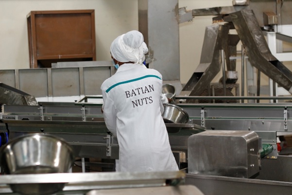 Batian Organic macadamia shelling line